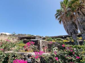 um jardim com flores cor-de-rosa e uma palmeira em Perla Nera I DAMMUSI DI SCAURI em Pantelleria