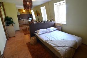a bedroom with a large bed and a kitchen at Dragomir Apartments in Cherkasy