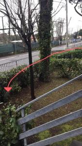 a red ribbon tied to a tree next to a fence at Casa con giardino vicino al mare in Massa