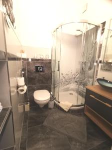 a bathroom with a shower and a toilet and a tub at Pension Zur Alten Post in Havelberg