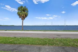 eine Palme an der Seite einer Straße neben dem Wasser in der Unterkunft Mermaids Grotto WATERFRONT 1BR Apt with Bay View in Tampa