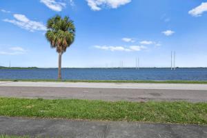 a palm tree on the side of a road next to the water at Mermaids Grotto WATERFRONT 1BR Apt with Bay View in Tampa