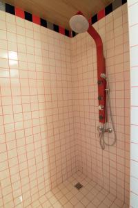 a shower in a bathroom with a red and white tiled wall at Dragomir Apartments in Cherkasy