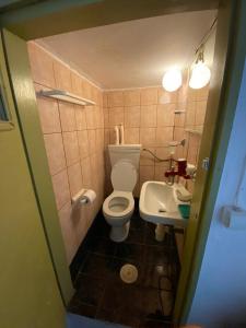 Baño pequeño con aseo y lavamanos en Bella room 3 en Agia Galini