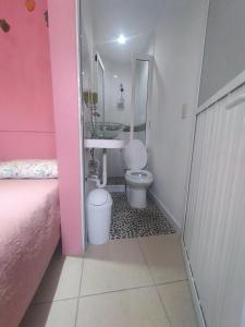 a pink bathroom with a sink and a toilet at Hospedaje Casa Verde in Tepoztlán