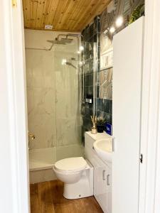 łazienka z toaletą i umywalką w obiekcie The Stables Hideaway w mieście Llanelli
