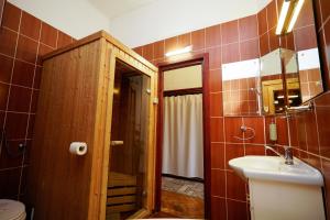 ブラショヴにあるPensiunea Noemiのバスルーム(洗面台、トイレ、鏡付)