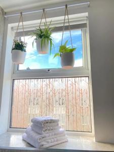 - une fenêtre avec des serviettes et des plantes en pot dans l'établissement Park Crescent apartment, à York