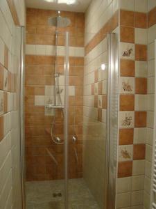 a shower with a glass door in a bathroom at Gentilhommière Eaux Bleues in Écot-la Combe
