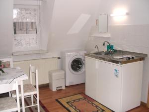 eine Küche mit einer Spüle und einer Waschmaschine in der Unterkunft Karin's behagliche Ferienwohnung in Benshausen