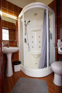 a bathroom with a shower and a sink at Pensiunea Noemi in Braşov