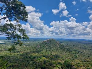 a mountain in the middle of a forest with clouds in the sky at Sigiri Peace Hostel in Sigiriya