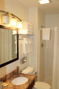 a bathroom with a sink and a toilet and a shower at The Riverside Ranch Motel and RV Park Southern Utah in Hatch