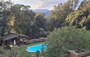 una piscina en medio de un patio con árboles en Gites San Austinu en Petreto-Bicchisano