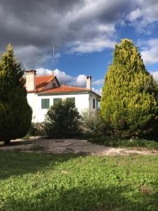 a white house with two trees in front of it at Quinta da Barbosa in Folgosinho