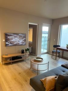 TV a/nebo společenská místnost v ubytování Hidden Gem in Downtown Reykjavík