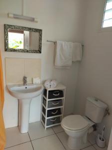 a bathroom with a sink and a toilet and a mirror at studio sympa in Port-Louis