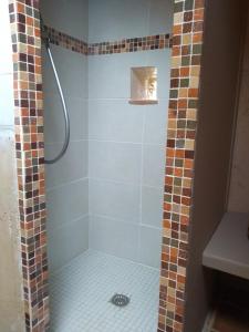 uma casa de banho com chuveiro e cortina de chuveiro em Chaleureuse maisonnette em Lopérec