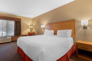 Postel nebo postele na pokoji v ubytování Best Western Plus Olympic Inn