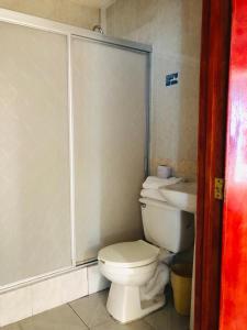 Koupelna v ubytování HOTEL Posada Aguascalientes
