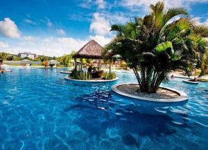 una piscina con una palmera y un cenador en Iloa Residence Luxo, en Barra de São Miguel