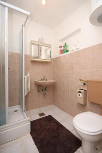 ein Bad mit einem WC, einem Waschbecken und einer Dusche in der Unterkunft Apartments by the sea Cove Mala Pogorila, Hvar - 8952 in Bogomolje
