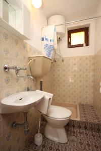 a bathroom with a toilet and a sink at Apartments by the sea Basina, Hvar - 8749 in Vrbanj +18 photos