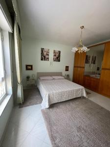 1 dormitorio con cama y lámpara de araña en Il viandante, en Olivarella