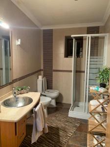 a bathroom with a sink and a toilet and a shower at Casa do Soto in Milhão +29 photos