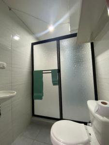 baño con aseo y puerta de ducha de cristal en Aparta estudio, en Filandia