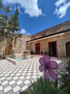 una flor púrpura en medio de un patio en MELISA HOSTAL, en Campeche