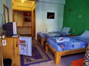 Star Of Dahab Hotel tesisinde bir odada yatak veya yataklar