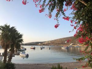 a group of boats in a body of water with a palm tree at Family house by the seaside of Karavostasis in Karavostasi