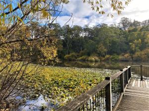 a wooden bridge over a body of water at Daylesford House Studio in Daylesford