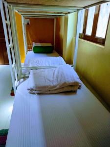 Fotografie z fotogalerie ubytování Red Monkeys Hostel v destinaci Arambol