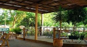 a patio with tables and chairs and a palm tree at Blueberry Rooms in Qasrîne