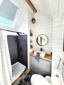 Romantic Tiny home with private deck في Apple Valley: حمام مع حوض ومرحاض ومغسلة
