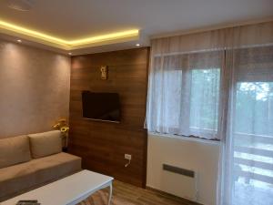 TV a/nebo společenská místnost v ubytování Holiday Tara