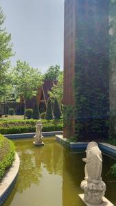 Zahrada ubytování Layali Al Shams Hotel