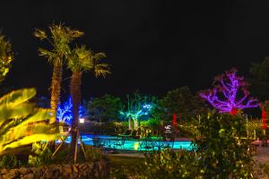 済州市にあるHallim Resortの夜間のプール(照明付きの木々あり)