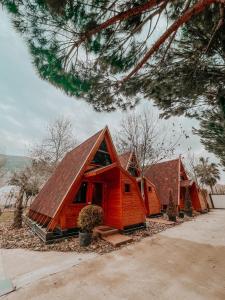 Příroda nedaleko hotelu + 37 fotografií
