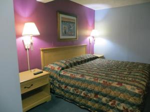 Un pat sau paturi într-o cameră la Skyway Motel