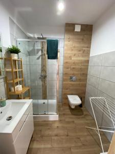 a bathroom with a shower and a toilet and a sink at Apartamenty Stołowe in Kudowa-Zdrój