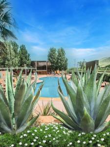 Bazén v ubytování Layali Al Shams Hotel nebo v jeho okolí