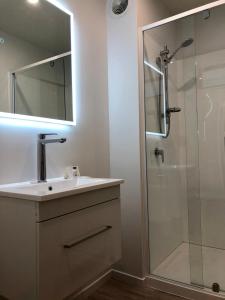 La salle de bains est pourvue d'un lavabo et d'une douche avec un miroir. dans l'établissement The Bealey Hotel, à Arthur's Pass