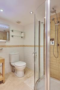 a bathroom with a toilet and a shower at Squirrel Barn in Moreton in Marsh