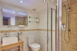 a bathroom with a toilet and a shower at Squirrel Barn in Moreton in Marsh