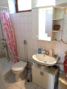 a bathroom with a sink and a toilet and a shower at Tóbiás Tanya Vendégház in Hódmezővásárhely