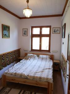 ein Schlafzimmer mit einem Bett in einem Zimmer mit einem Fenster in der Unterkunft Tóbiás Tanya Vendégház in Hódmezővásárhely