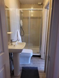 een badkamer met een toilet, een wastafel en een douche bij 43 Kimberly road apartment in Londen